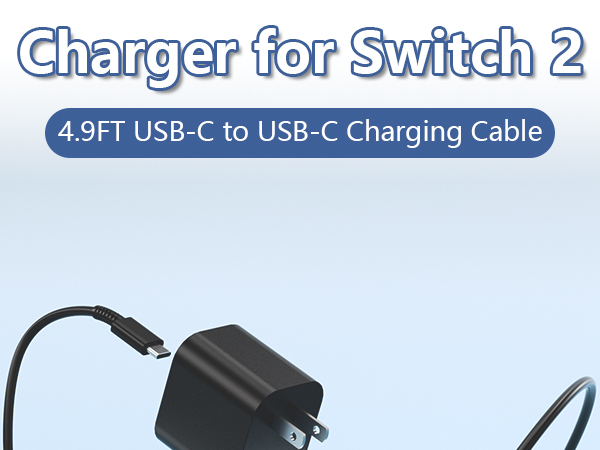 switch 2 charger