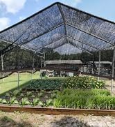 shade cloth for garden plant