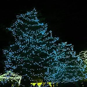 Aqua Lights