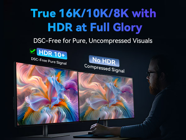 displayport cable TD3 DP80