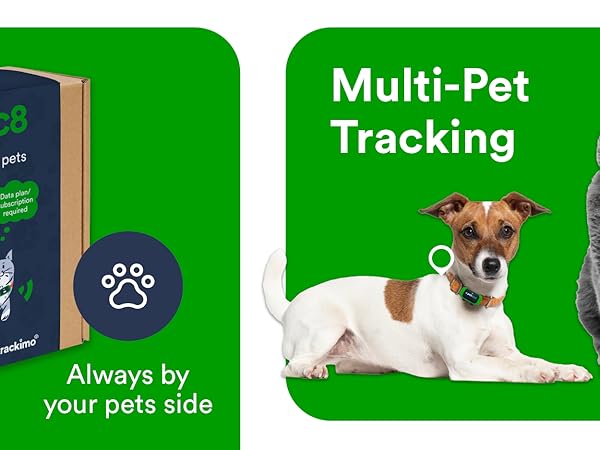 fits existing collar of small pets rechargeable li-ion battery includes sim card