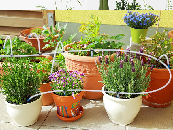 Automatic Plant Waterer