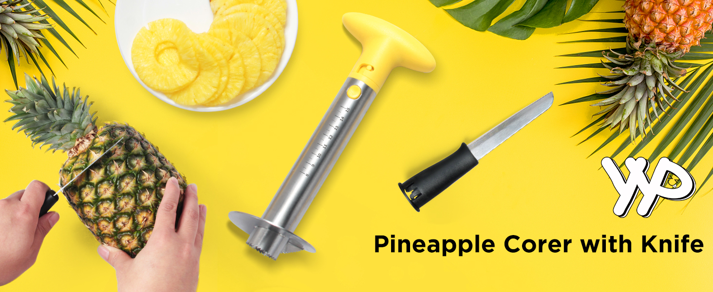Pineapple Cutter