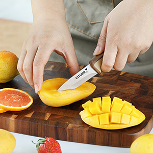 Block Knife Set