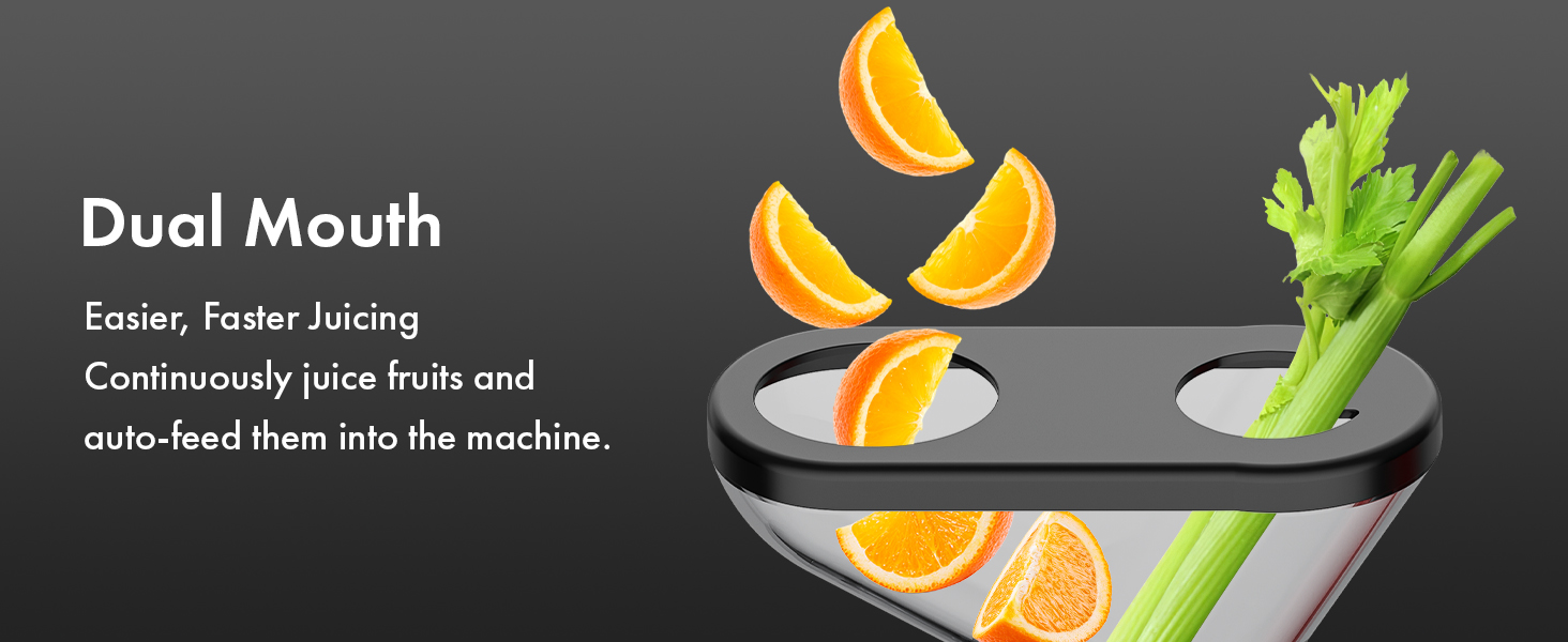 Masticating Juicer Attachment for KitchenAid Stand Mixer