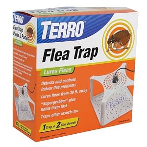 terro flea trap