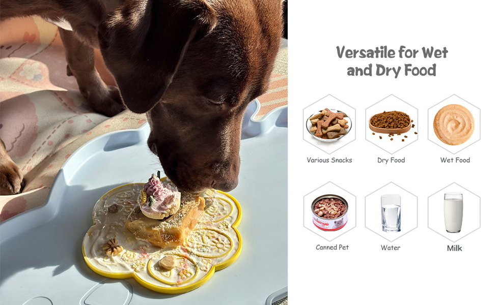 versatile for wet and dry food