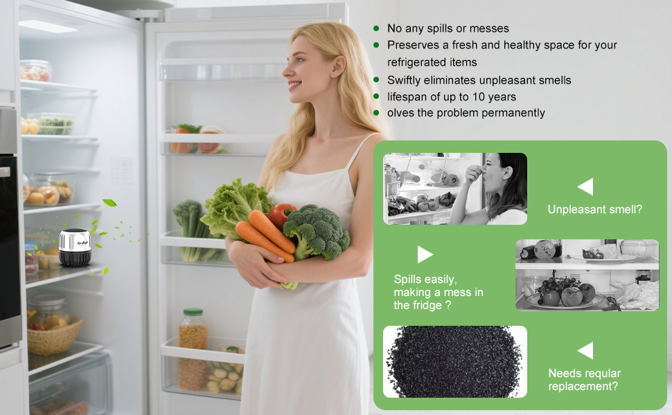 Refrigerator Deodorizer 5