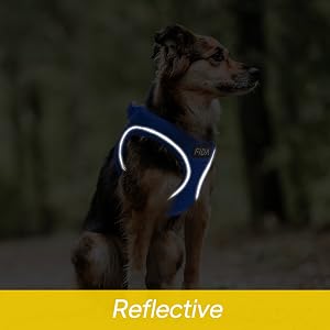 reflective