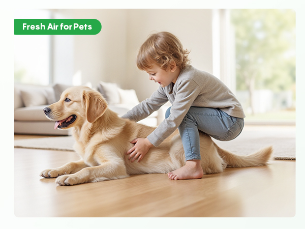 Fresh air for pets
