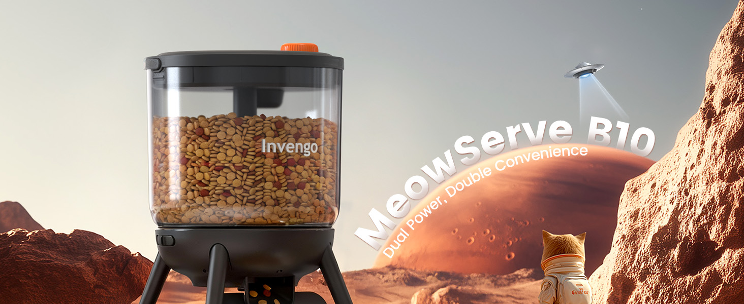 meowserve B10