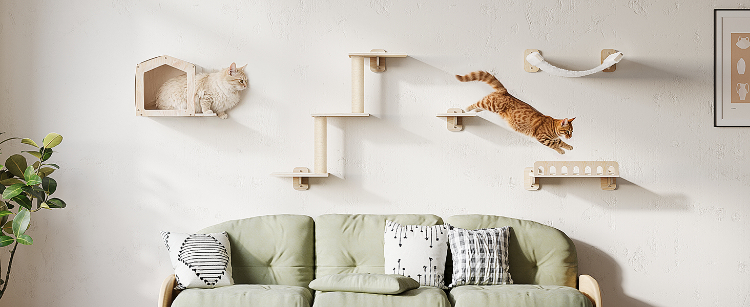 cat wall shelves