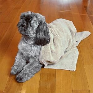 pet