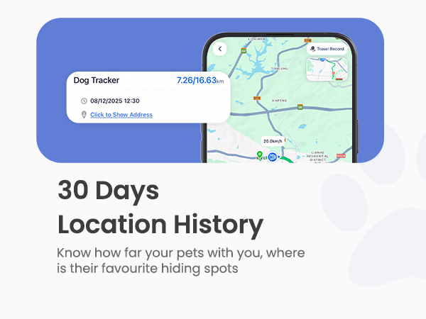dog tracker collar gps dog