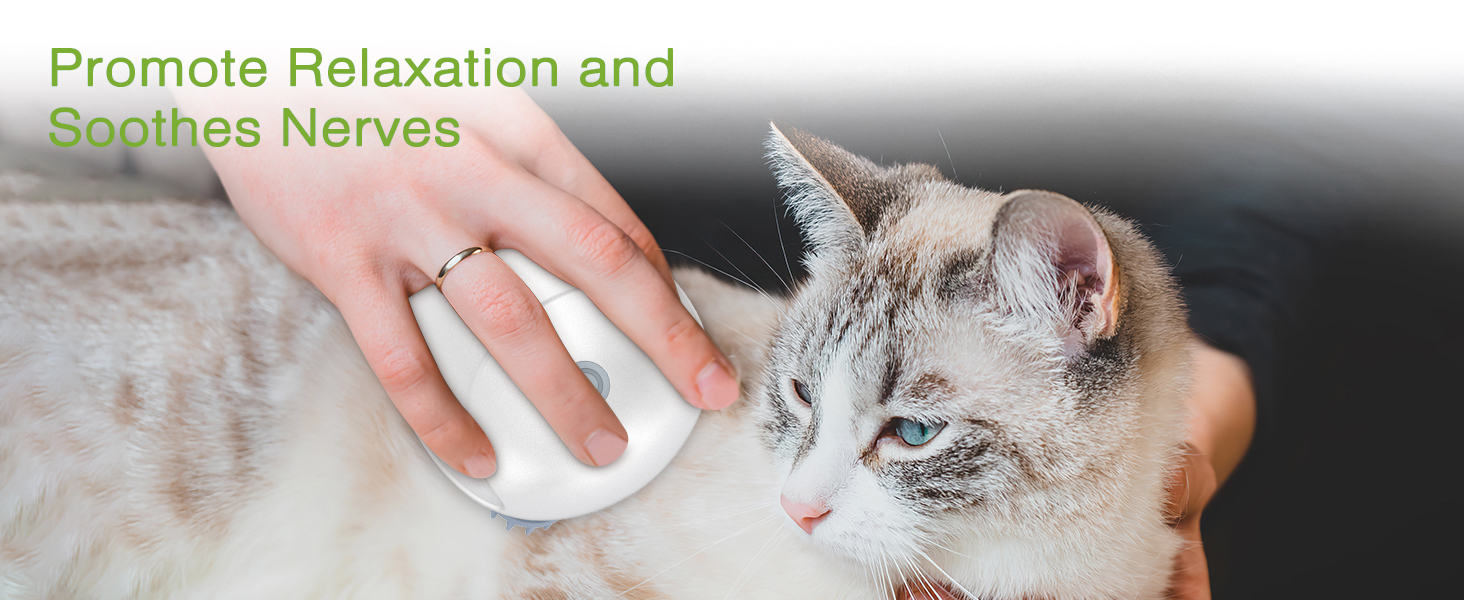 Cordless Pet Massager