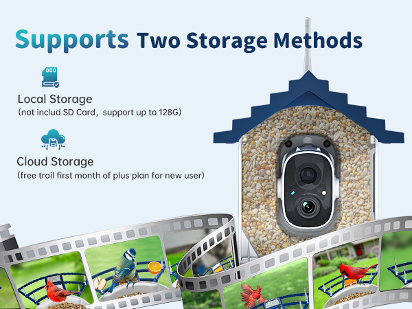 bird feeder with camera