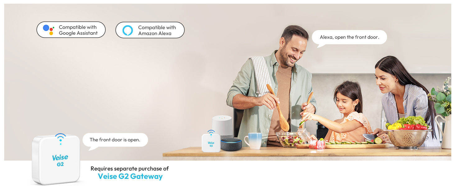 electronic door lock with handle