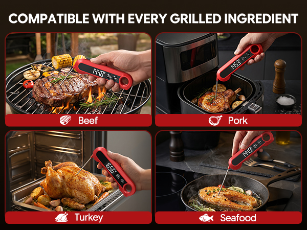 food thermometer for cooking