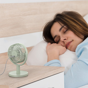 Ventilador