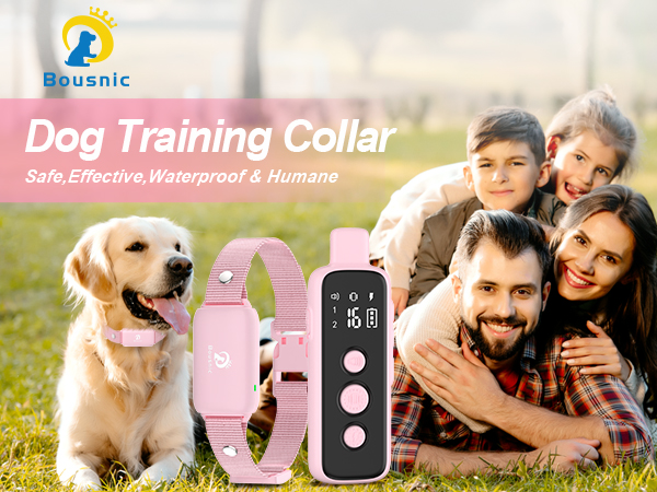 Bousnic Dog Training Collar
