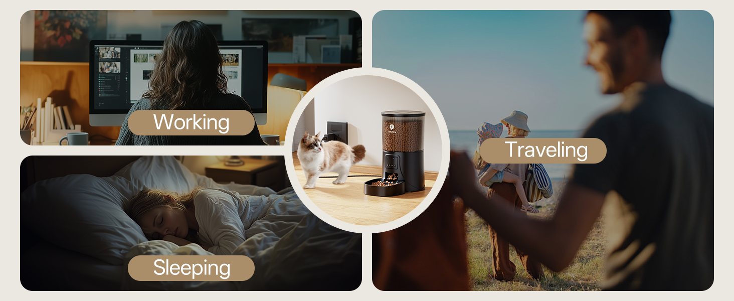 indoor auto cat feeder