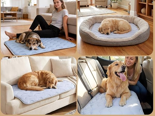 Dog Cooling Mat