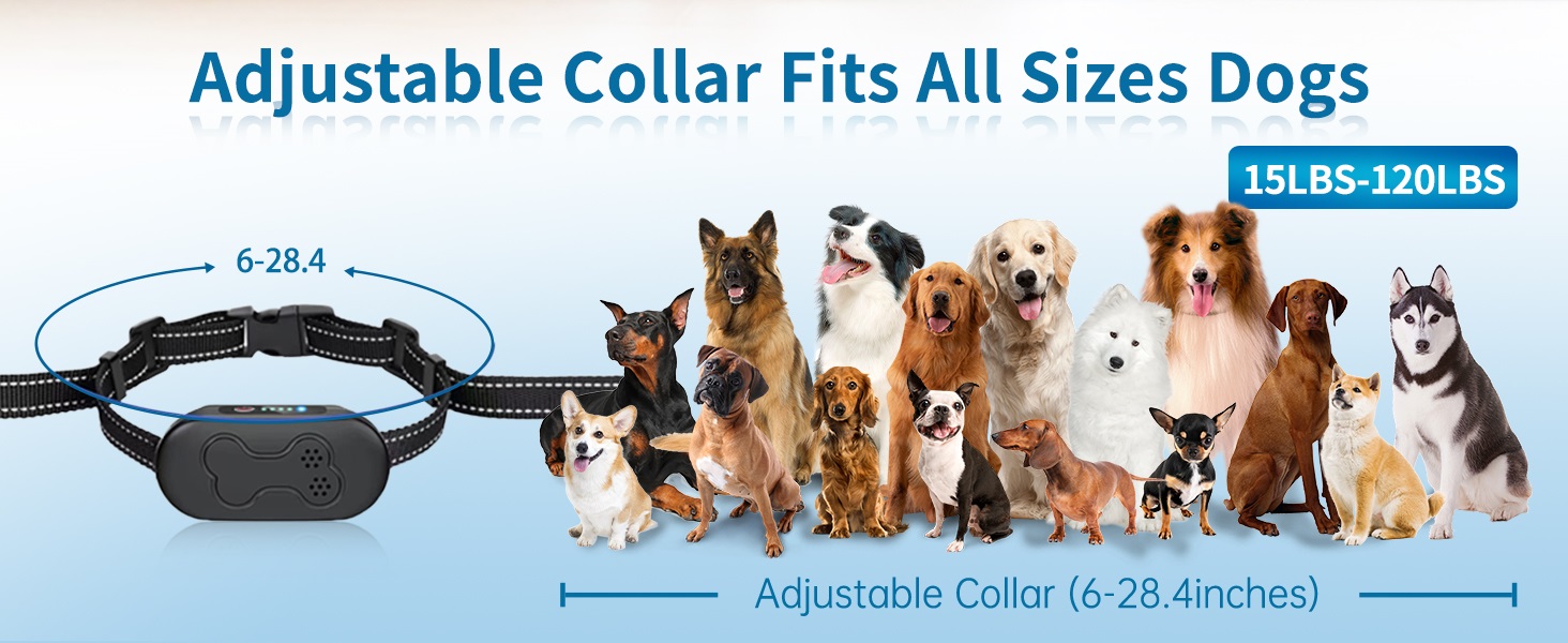 shock collar for dogs 03