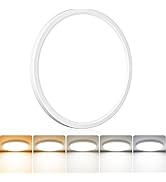slochi 1PACK LED Flush Mount Ceiling Light Fixture Warm,62A