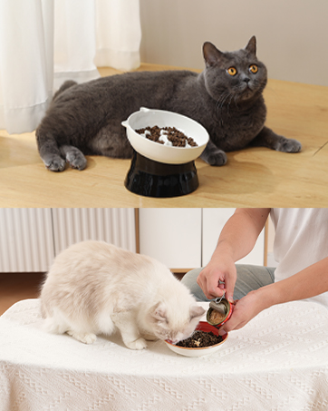Split image showing cat food bowls: top shows gray cat with raised feeding bowl, bottom displays hands filling pet food dispenser.