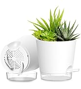 SQKH Plant Pots 8 Inch Self Watering Pots, 2 Pack Plastic Planters with Drainage Holes and Clear ...