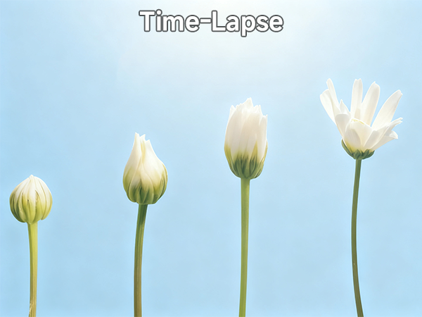 time-lapse video record