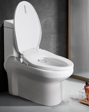heated toilet seat with bidet