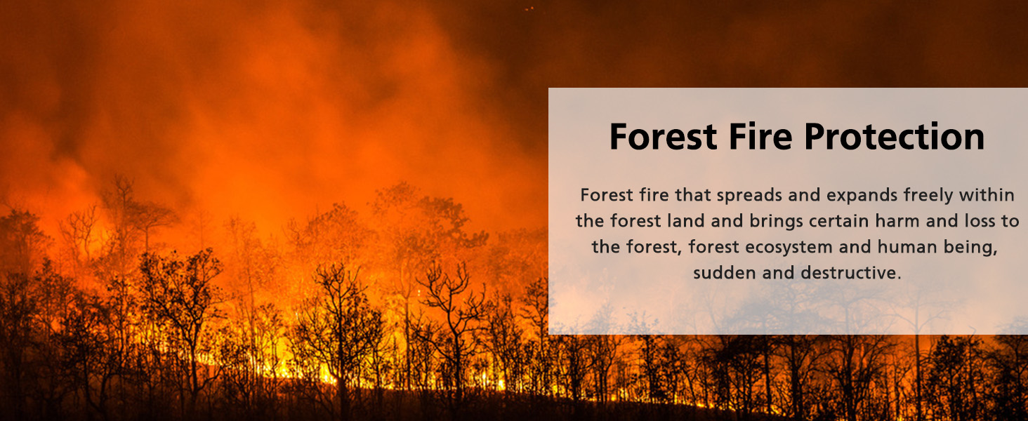 Forest Fire Protection