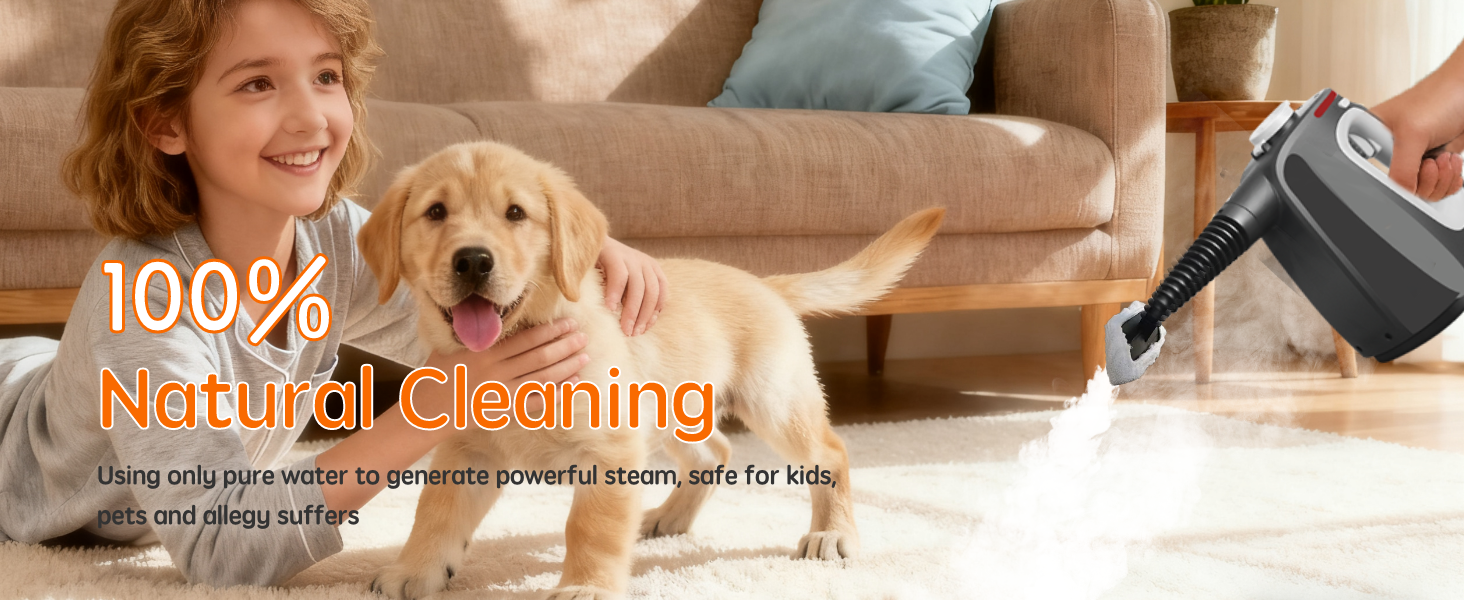 steam cleaner for upholstery