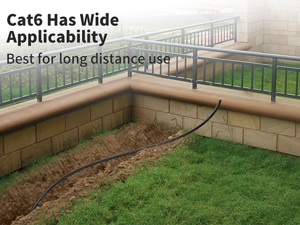 cat6 
