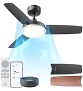 Dreo Smart Ceiling Fans with Lights, 42 Inch Black Ceiling Fan, 12 Speeds &amp; 3 Fan Modes, Stepless...