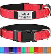 Taglory Personalized Dog Collars, Custom Reflective Dog Collar with Name Plate, Padded Pet Collar...