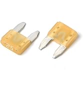 2Pcs 58V Car Automotive Blade Fuses, Universal Fuse Kit for Cars, Truck, SUV (25A)