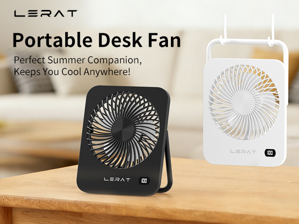 Desk Fan