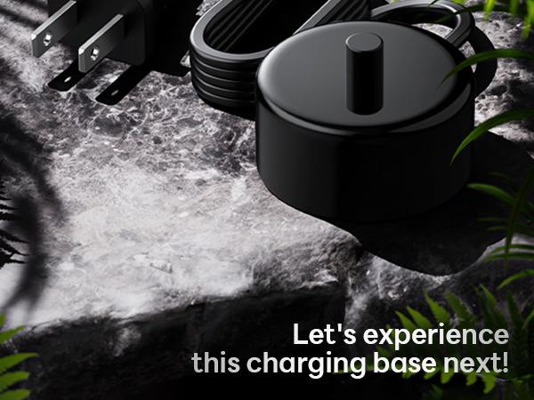 Aqua Sonic charger