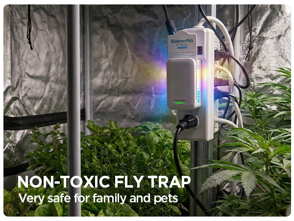 fly killer gnat killer plug in best safe electric flying insect trap fruit fly bug blue UV light