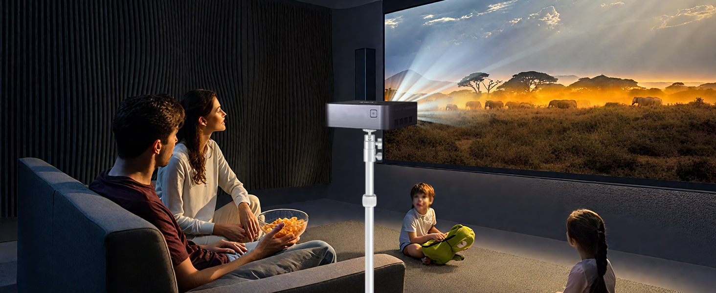 Silver Projector Stand