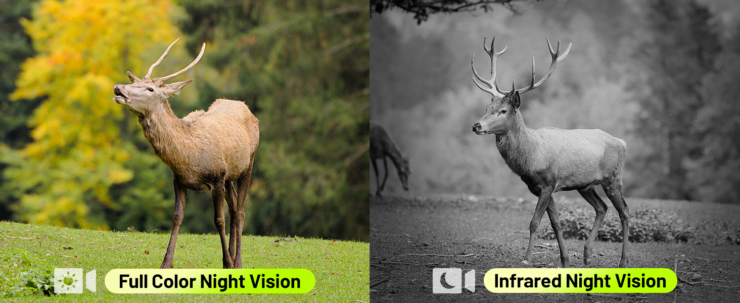 no wifi security camera outdoor