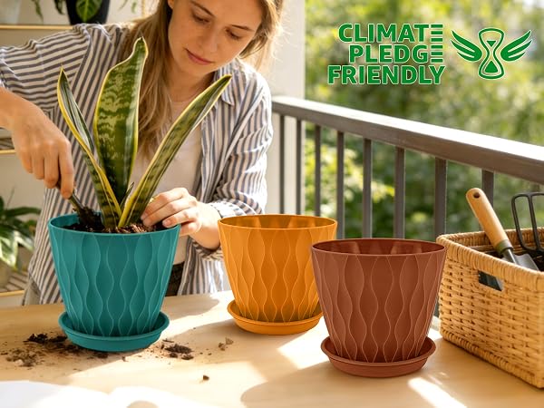 plant pot