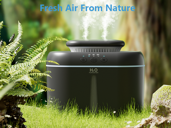 Humidifier for Plants