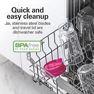 blender for shakes and smoothies