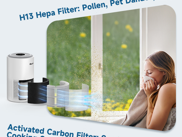 H13 Hepa Filter