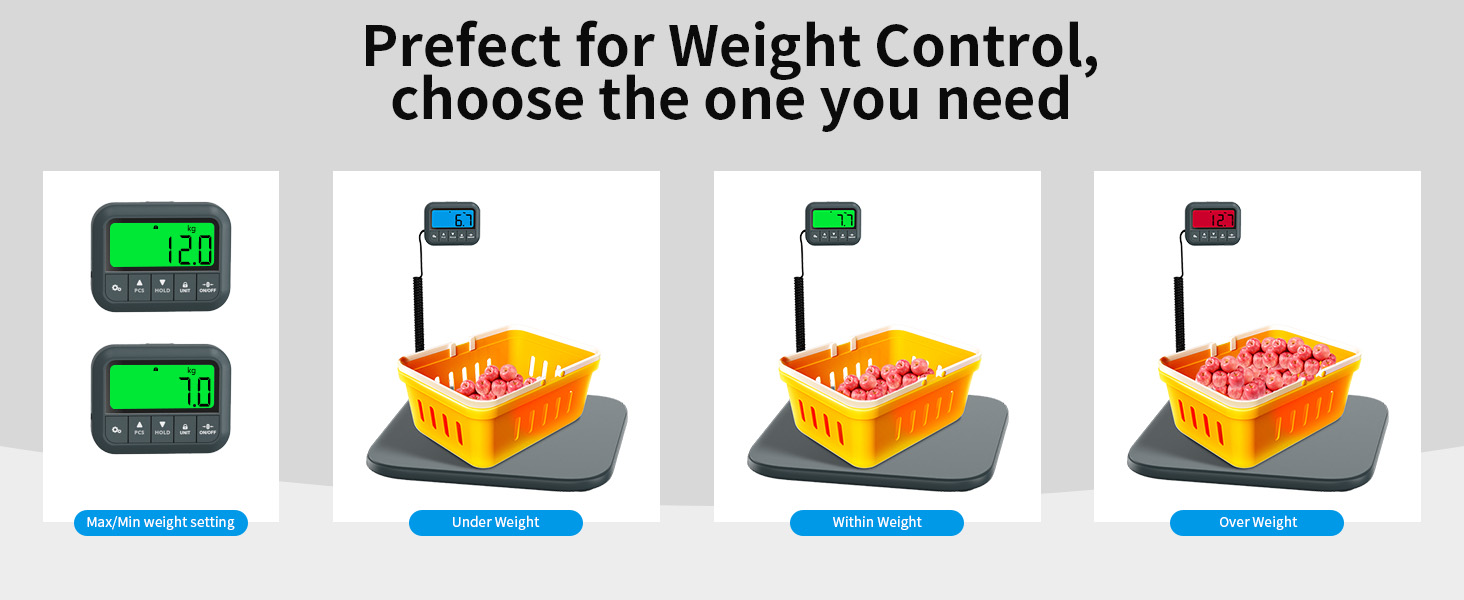 Shipping Scale