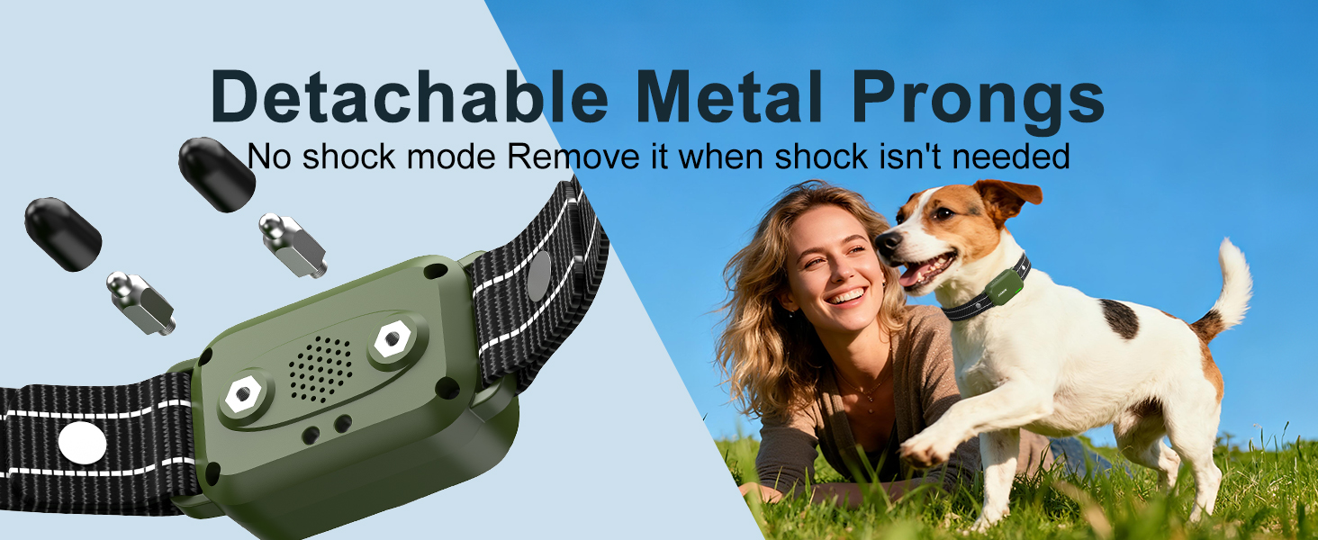 electric training collar for dogs