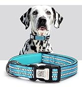 ilFindYou Reflective Dog Collar with QR Tag, Personalized Dog Collar, Safety Night Visibilit...
